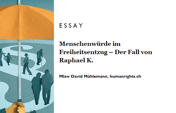 Essay David Mühlemann